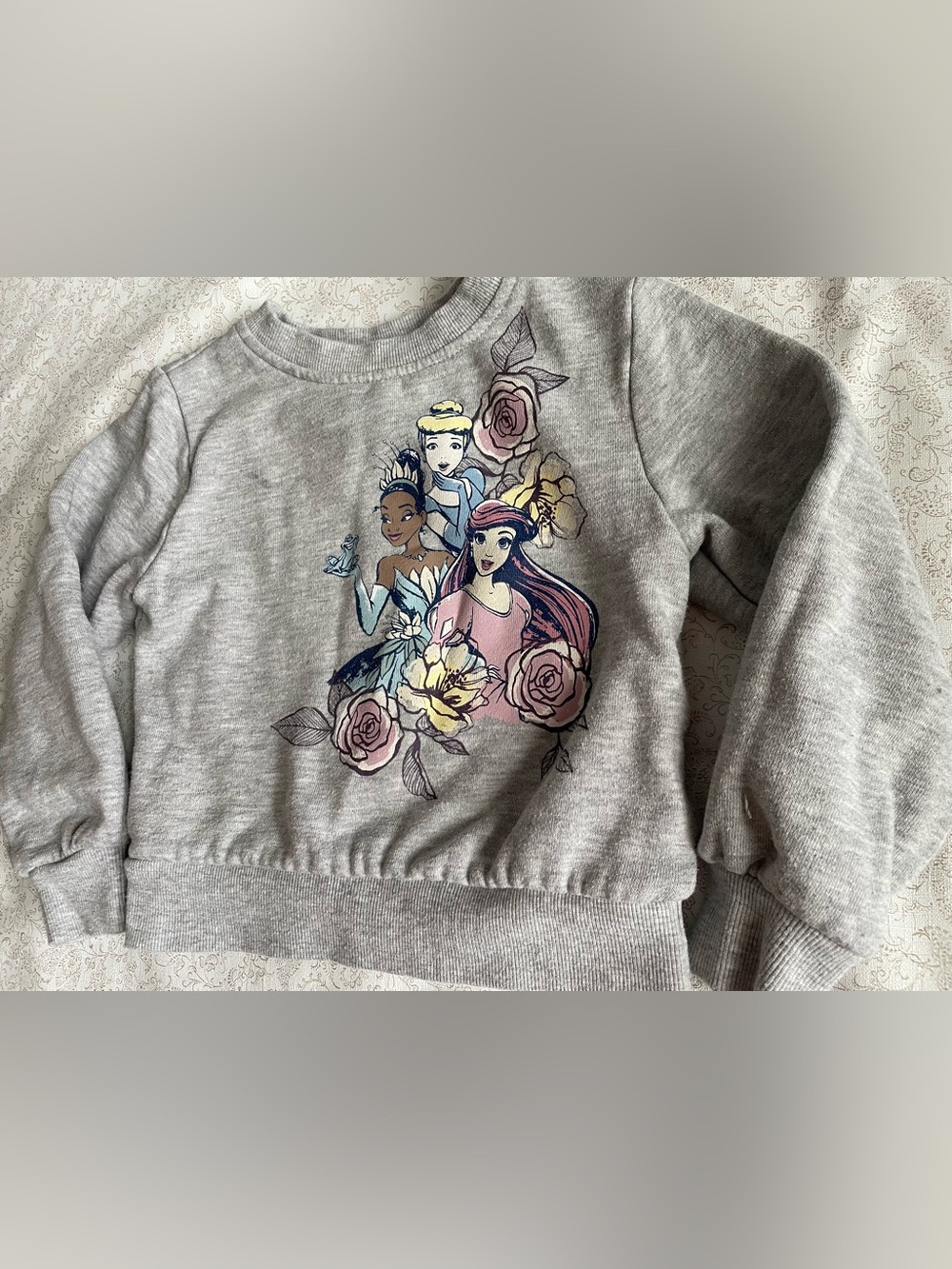 Disney Princess Sweatshirt Toddler Girl 3T Cozy